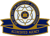 accredited-agency-175 accredited agency badge